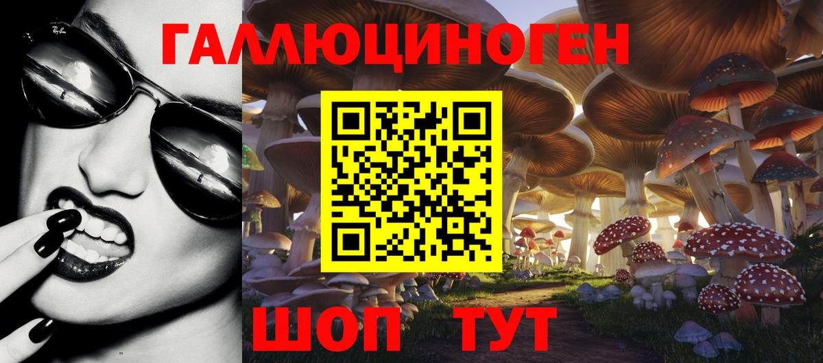 Галлюциногенные грибы Psilocybe Ковров