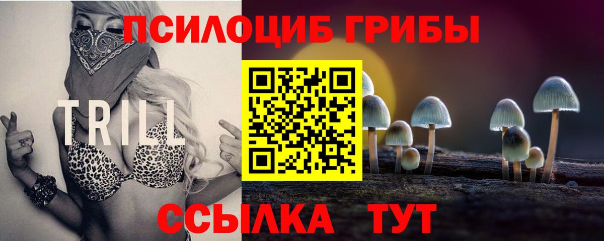 купить наркотик  Вход с VPN  Ковров  Галлюциногенные грибы MAGIC MUSHROOMS 